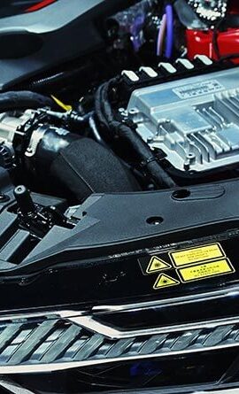 portfolio-11 portfolio-11